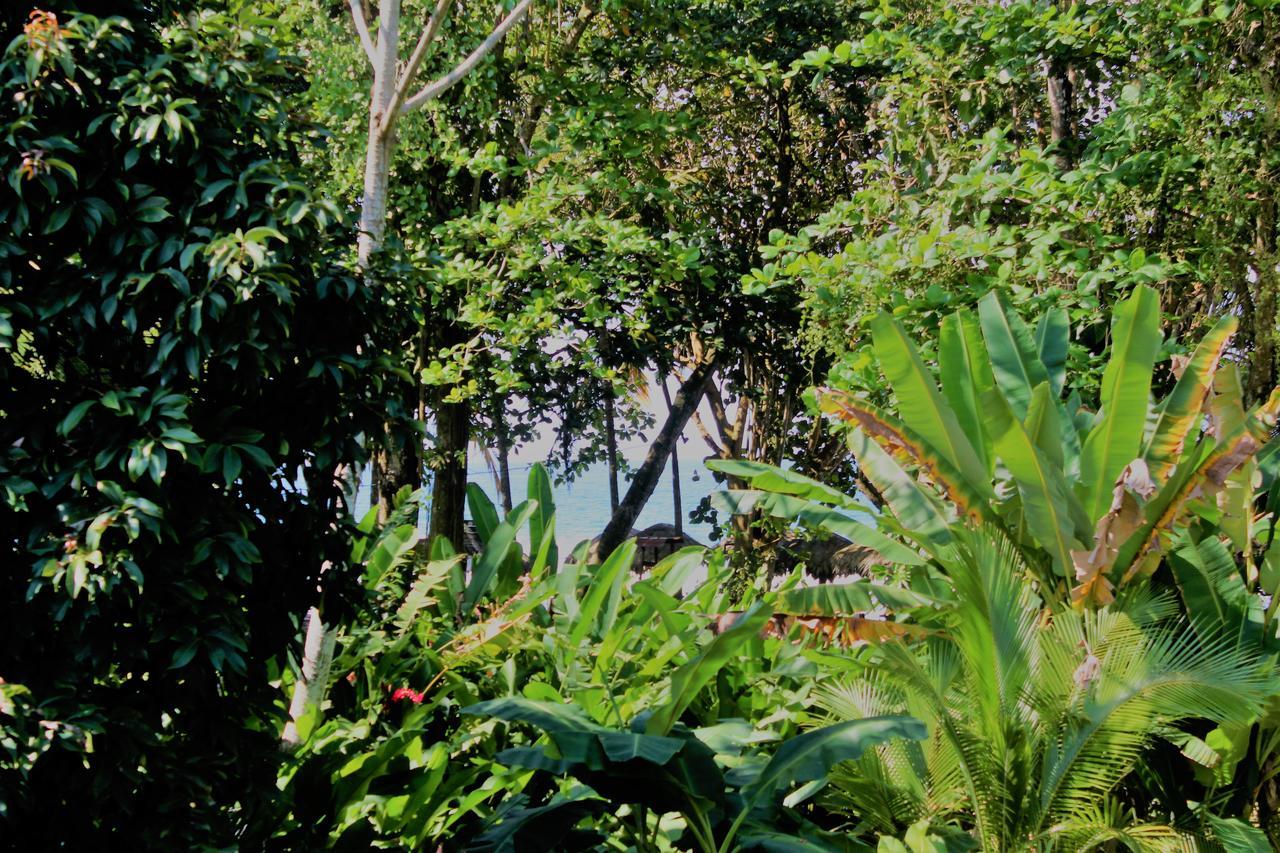 Casa Natural Puerto Viejo Hotel Puerto Viejo de Talamanca Exterior photo